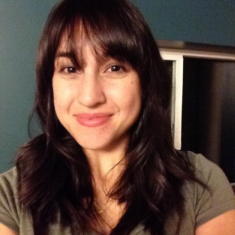 How to Write a Grant a Grant Writing Unicorn book